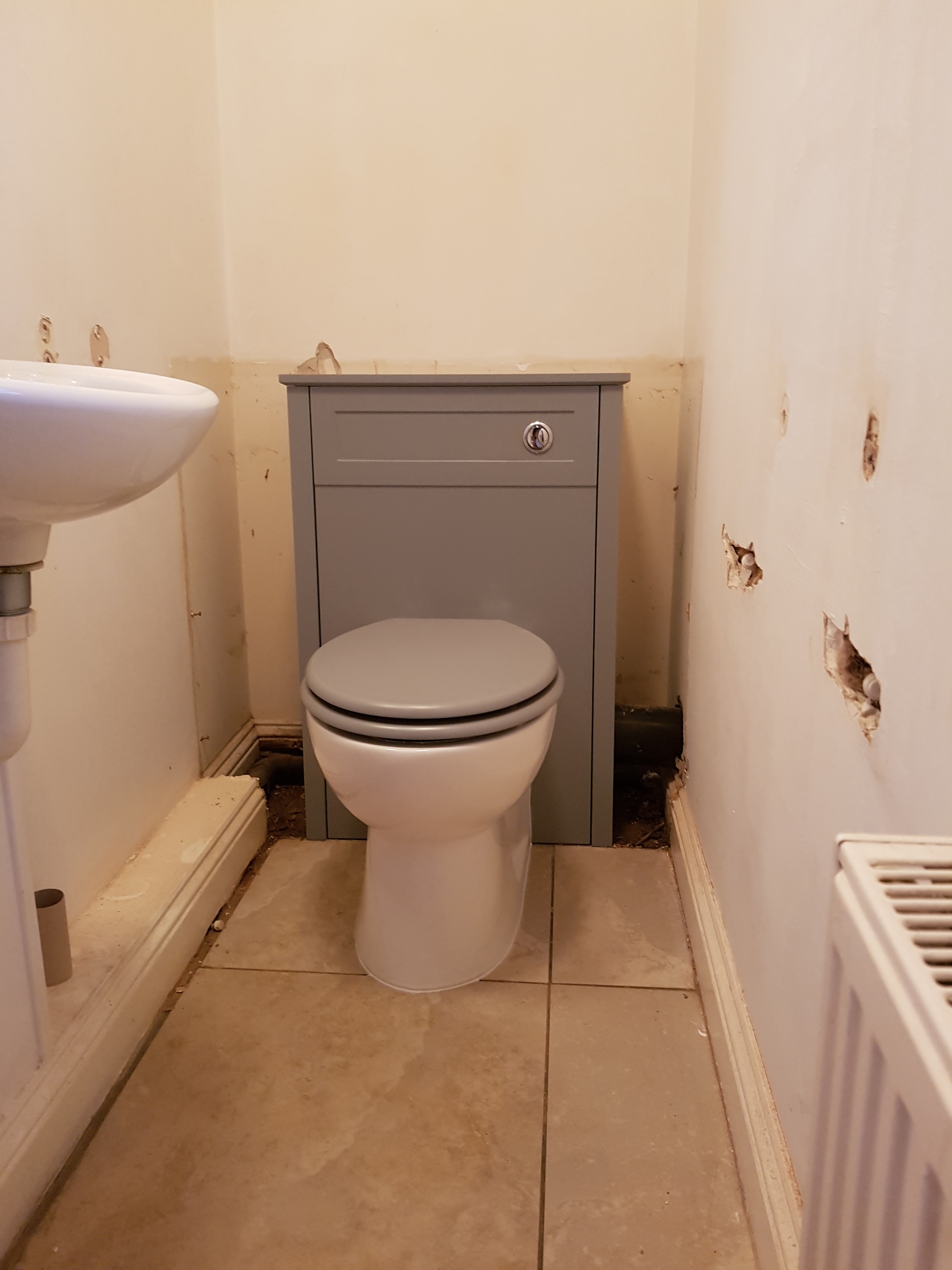 Toilet vanity unit