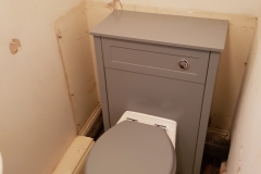 Toilet vanity unit