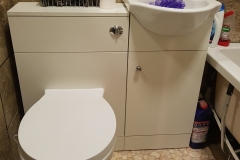 Toilet and basin vanity unit