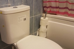 New toilet (2)