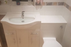 Toilet and basin vanity unit (2)